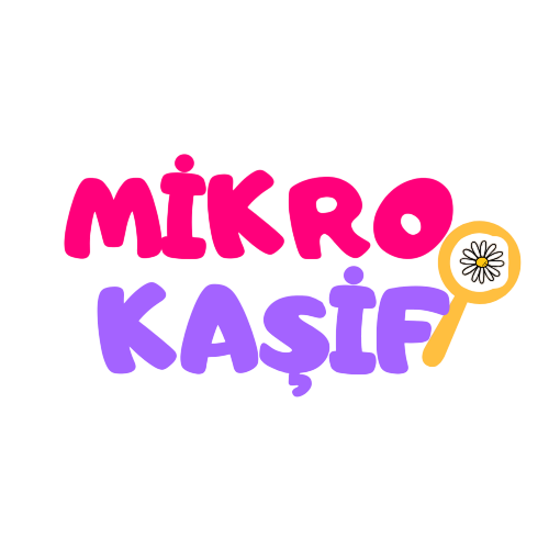 mikro kaşif